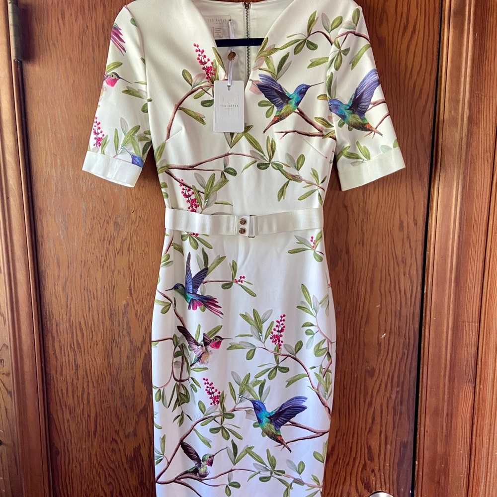 This is a Ted Baker Everly Hummingbird print dress, size X-small